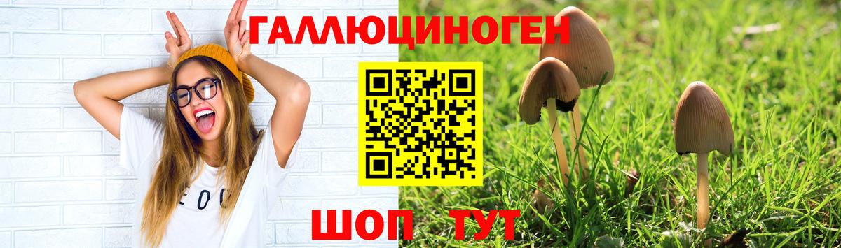 Орёл  Галлюциногенные грибы Cubensis  Вход с VPN 