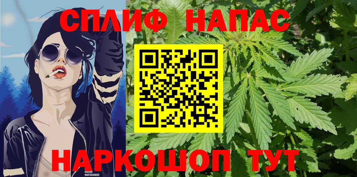 Бошки Шишки семена  Каннабис сатива  Канабис MAZAR  Вход с VPN  Орёл 